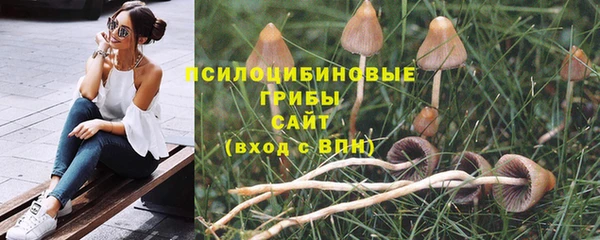 каннабис Ельня