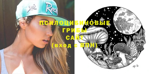 хмурый Елабуга