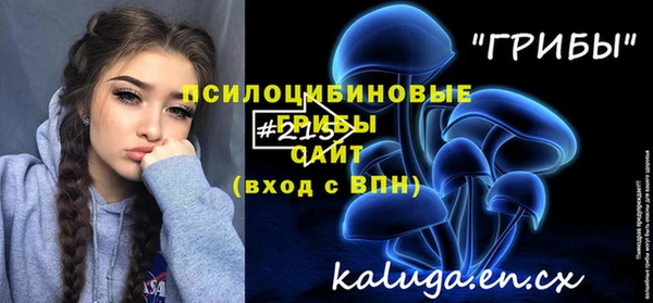 хмурый Елабуга