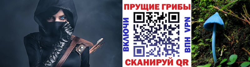 Галлюциногенные грибы Cubensis  Купить где  Щёлково 