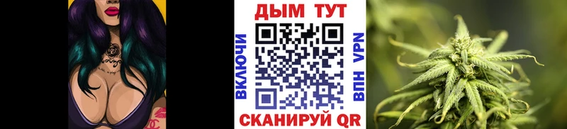 Канабис ГИДРОПОН  Купить где  Щёлково 